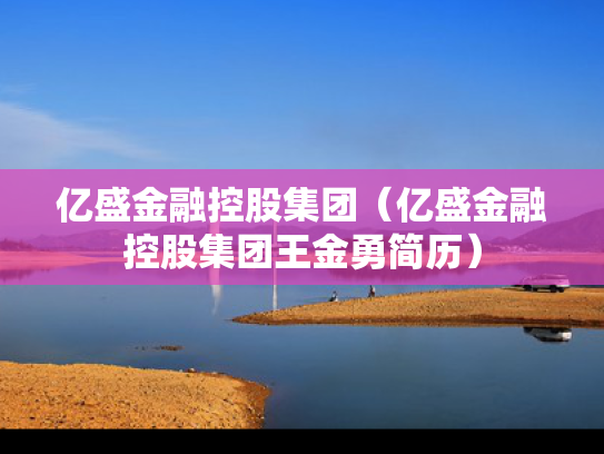 亿盛金融控股集团（亿盛金融控股集团王金勇简历）