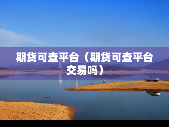 期货可查平台（期货可查平台交易吗）