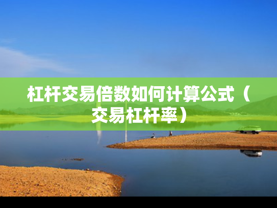 杠杆交易倍数如何计算公式（交易杠杆率）