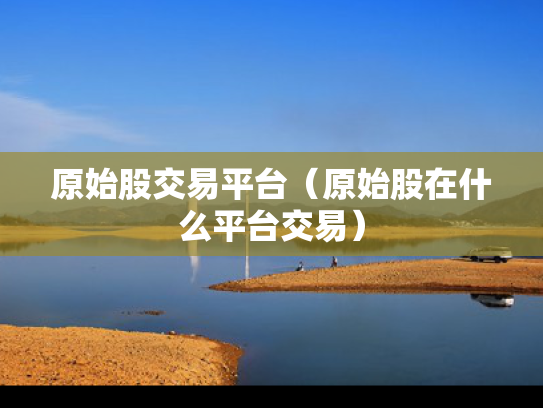 原始股交易平台（原始股在什么平台交易）