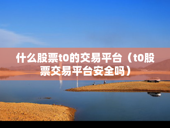什么股票t0的交易平台（t0股票交易平台安全吗）