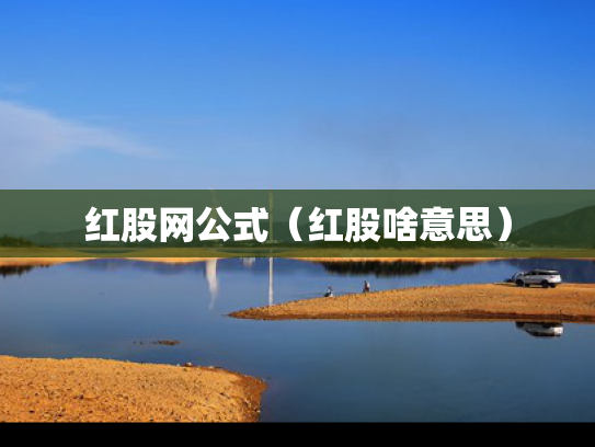 红股网公式（红股啥意思）