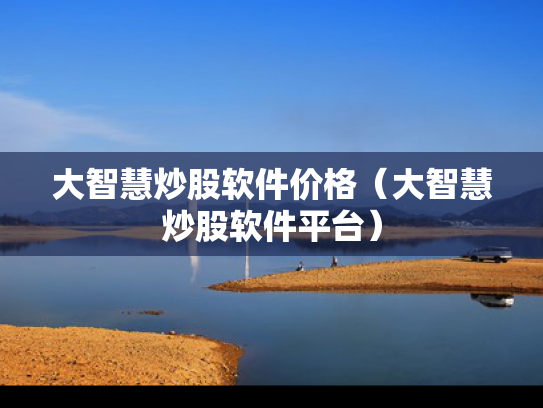 大智慧炒股软件价格（大智慧炒股软件平台）