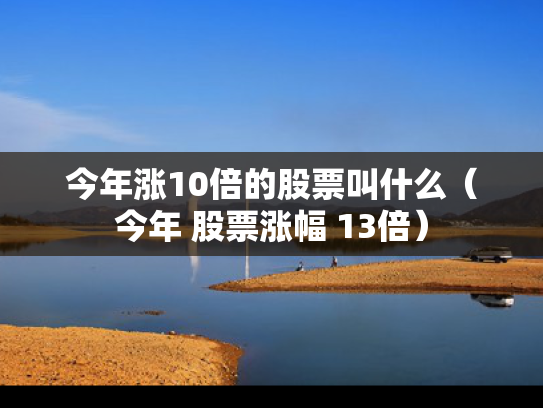 今年涨10倍的股票叫什么（今年 股票涨幅 13倍）