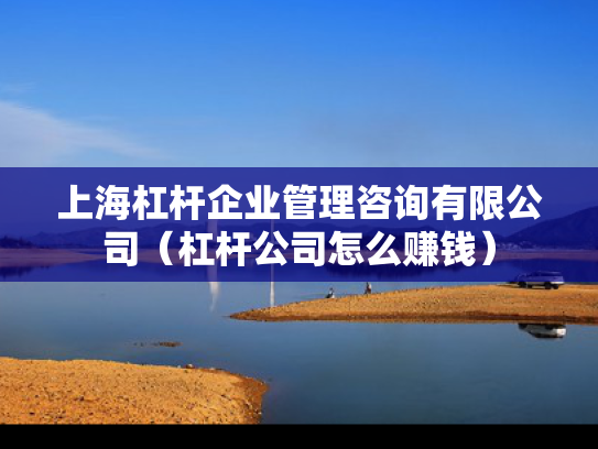 上海杠杆企业管理咨询有限公司（杠杆公司怎么赚钱）