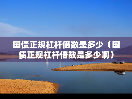 国债正规杠杆倍数是多少（国债正规杠杆倍数是多少啊）