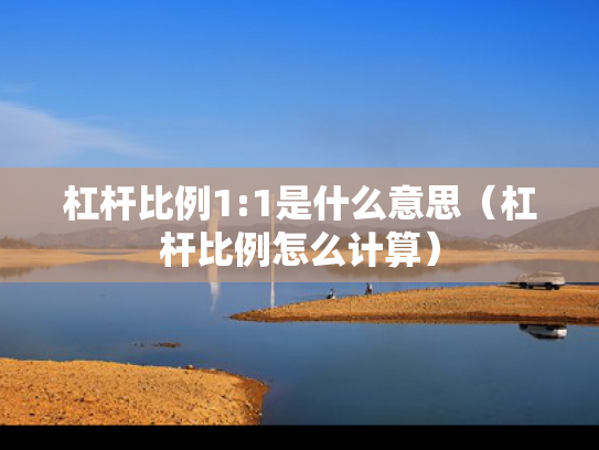 杠杆比例1:1是什么意思（杠杆比例怎么计算）