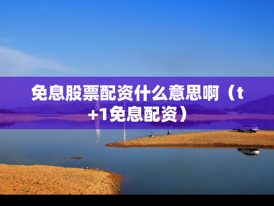 免息股票配资什么意思啊（t+1免息配资）