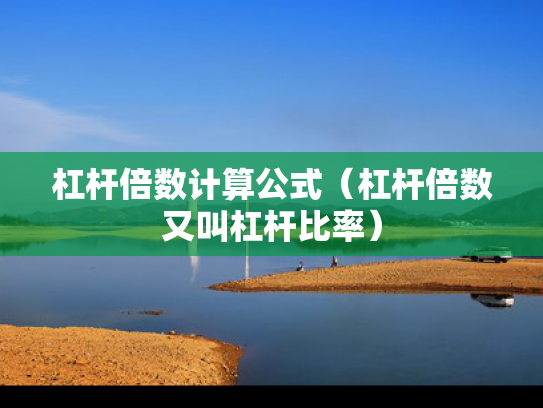 杠杆倍数计算公式（杠杆倍数又叫杠杆比率）