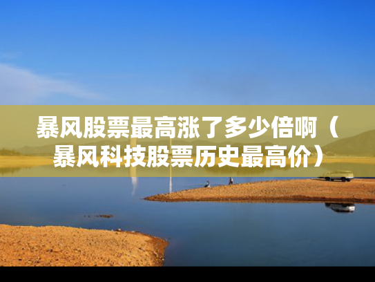 暴风股票最高涨了多少倍啊（暴风科技股票历史最高价）
