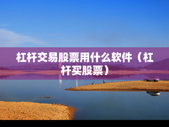 杠杆交易股票用什么软件（杠杆买股票）