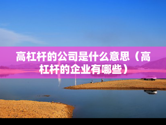 高杠杆的公司是什么意思（高杠杆的企业有哪些）