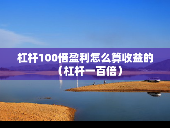 杠杆100倍盈利怎么算收益的（杠杆一百倍）