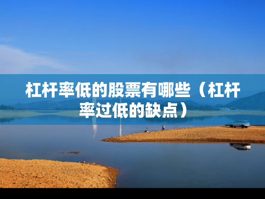 杠杆率低的股票有哪些（杠杆率过低的缺点）