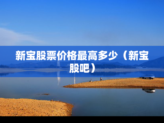 新宝股票价格最高多少（新宝股吧）