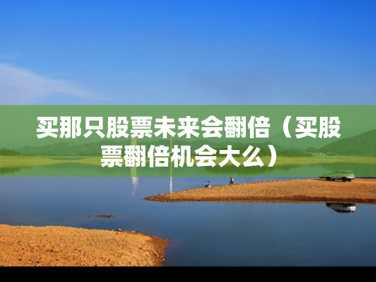 买那只股票未来会翻倍（买股票翻倍机会大么）