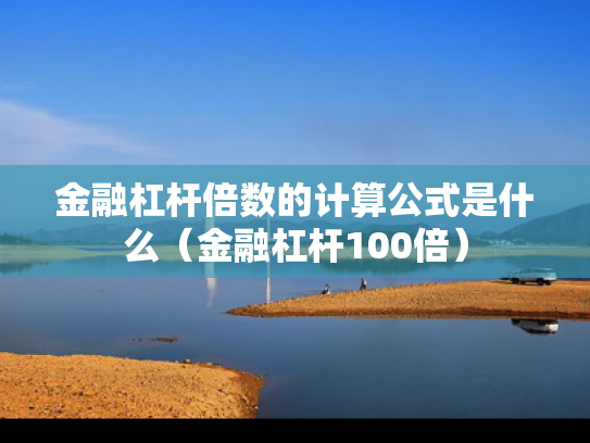 金融杠杆倍数的计算公式是什么（金融杠杆100倍）