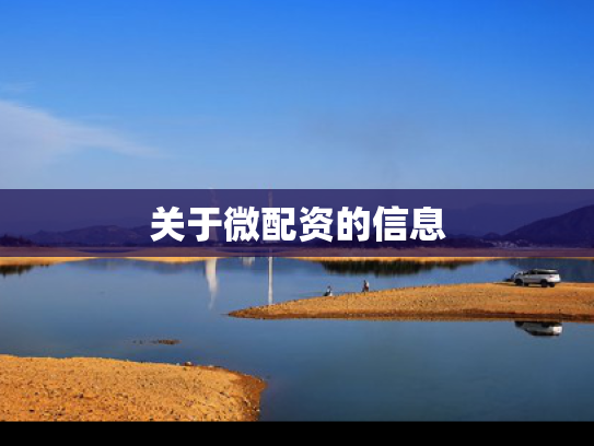 关于微配资的信息