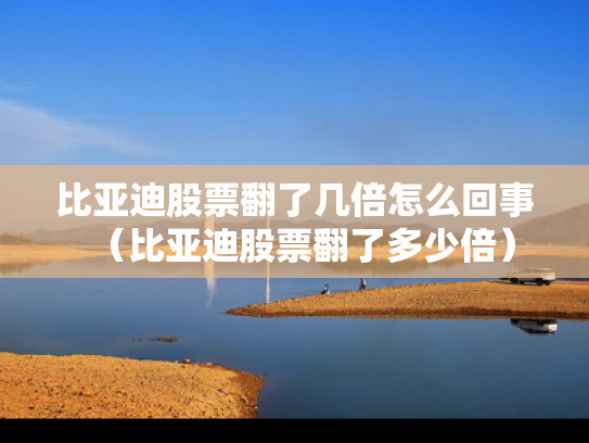 比亚迪股票翻了几倍怎么回事（比亚迪股票翻了多少倍）
