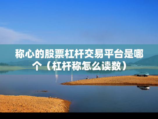 称心的股票杠杆交易平台是哪个（杠杆称怎么读数）