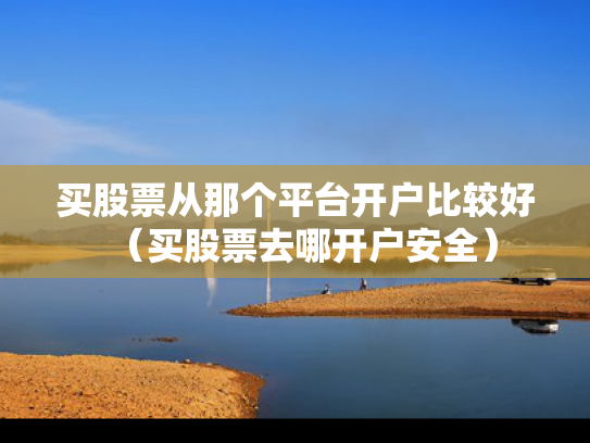 买股票从那个平台开户比较好（买股票去哪开户安全）