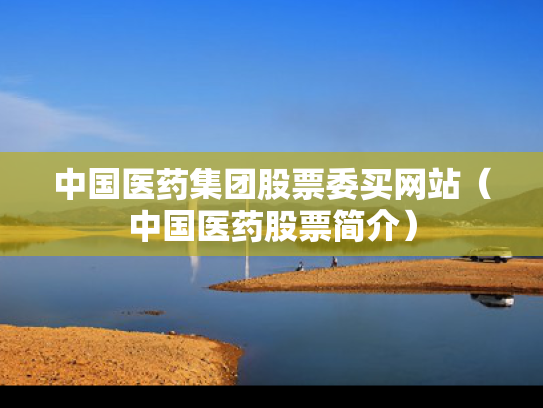 中国医药集团股票委买网站（中国医药股票简介）