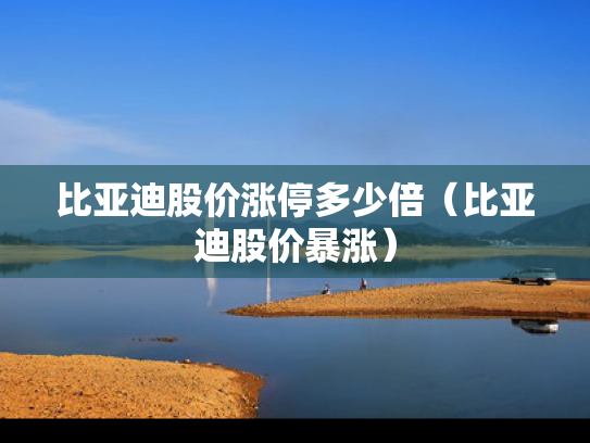 比亚迪股价涨停多少倍（比亚迪股价暴涨）
