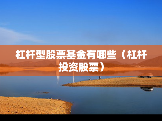 杠杆型股票基金有哪些（杠杆投资股票）