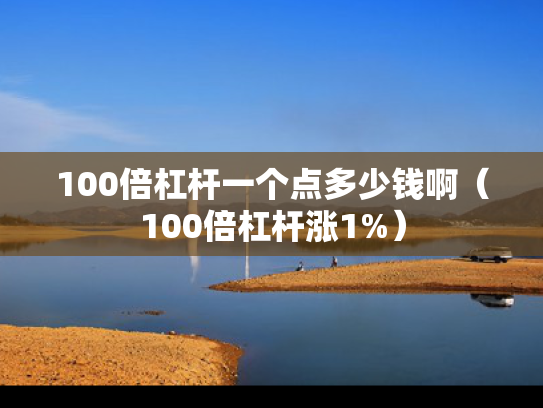 100倍杠杆一个点多少钱啊（100倍杠杆涨1%）