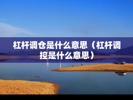杠杆调仓是什么意思（杠杆调控是什么意思）
