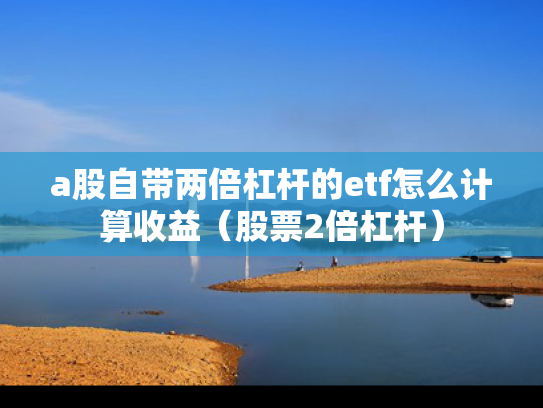 a股自带两倍杠杆的etf怎么计算收益（股票2倍杠杆）