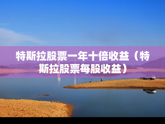 特斯拉股票一年十倍收益（特斯拉股票每股收益）
