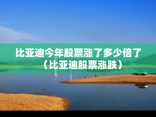 比亚迪今年股票涨了多少倍了（比亚迪股票涨跌）