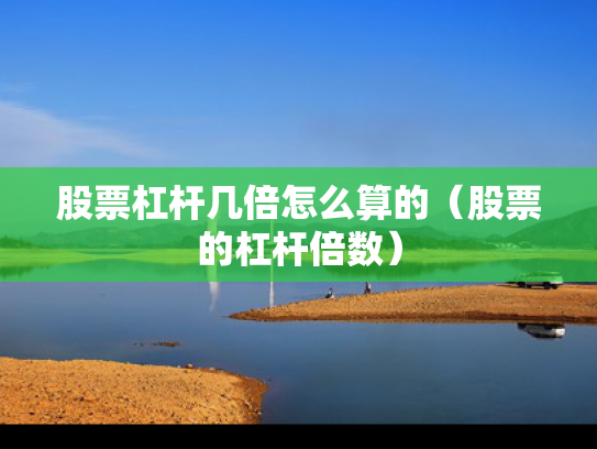 股票杠杆几倍怎么算的（股票的杠杆倍数）