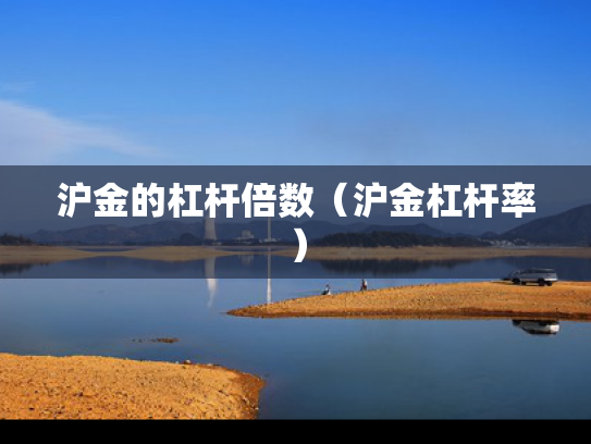 沪金的杠杆倍数（沪金杠杆率）