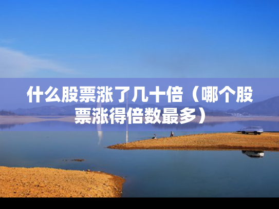 什么股票涨了几十倍（哪个股票涨得倍数最多）