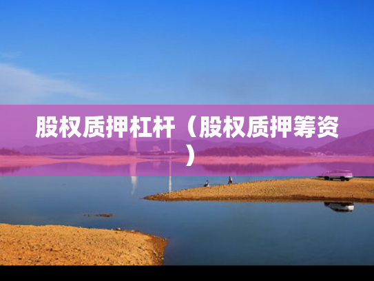 股权质押杠杆（股权质押筹资）