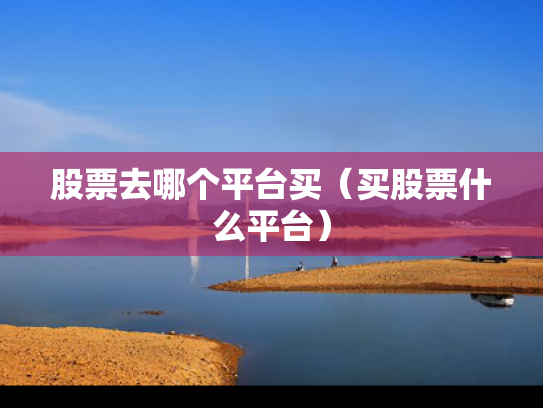 股票去哪个平台买（买股票什么平台）