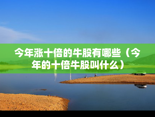 今年涨十倍的牛股有哪些（今年的十倍牛股叫什么）