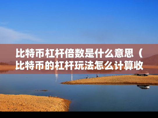 比特币杠杆倍数是什么意思（比特币的杠杆玩法怎么计算收益）