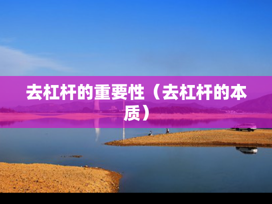 去杠杆的重要性（去杠杆的本质）