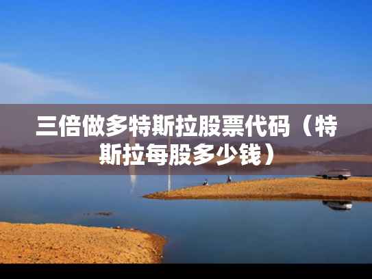 三倍做多特斯拉股票代码（特斯拉每股多少钱）