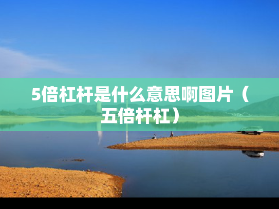 5倍杠杆是什么意思啊图片（五倍杆杠）