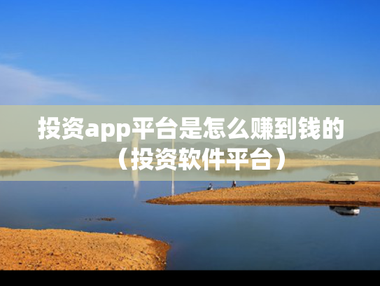投资app平台是怎么赚到钱的（投资软件平台）