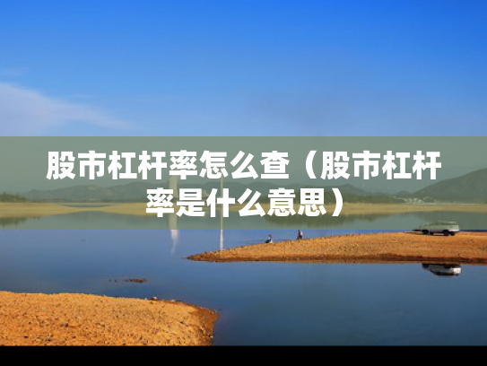 股市杠杆率怎么查（股市杠杆率是什么意思）