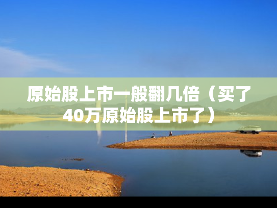原始股上市一般翻几倍（买了40万原始股上市了）
