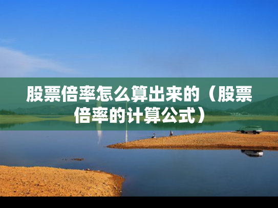 股票倍率怎么算出来的（股票倍率的计算公式）