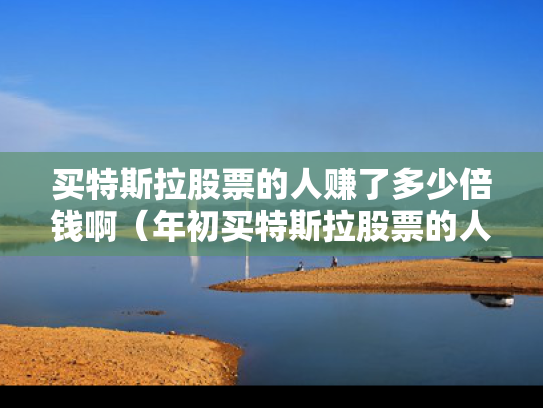 买特斯拉股票的人赚了多少倍钱啊（年初买特斯拉股票的人有多少已经卖了）
