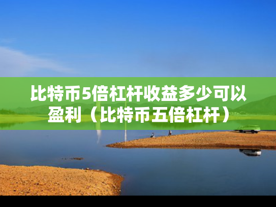 比特币5倍杠杆收益多少可以盈利（比特币五倍杠杆）