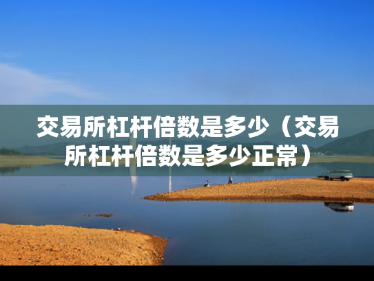 交易所杠杆倍数是多少（交易所杠杆倍数是多少正常）